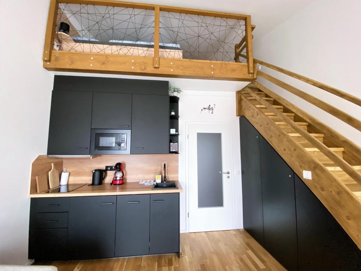 Miky Apartman Klinovec View Loučná pod Klínovcem Екстериор снимка
