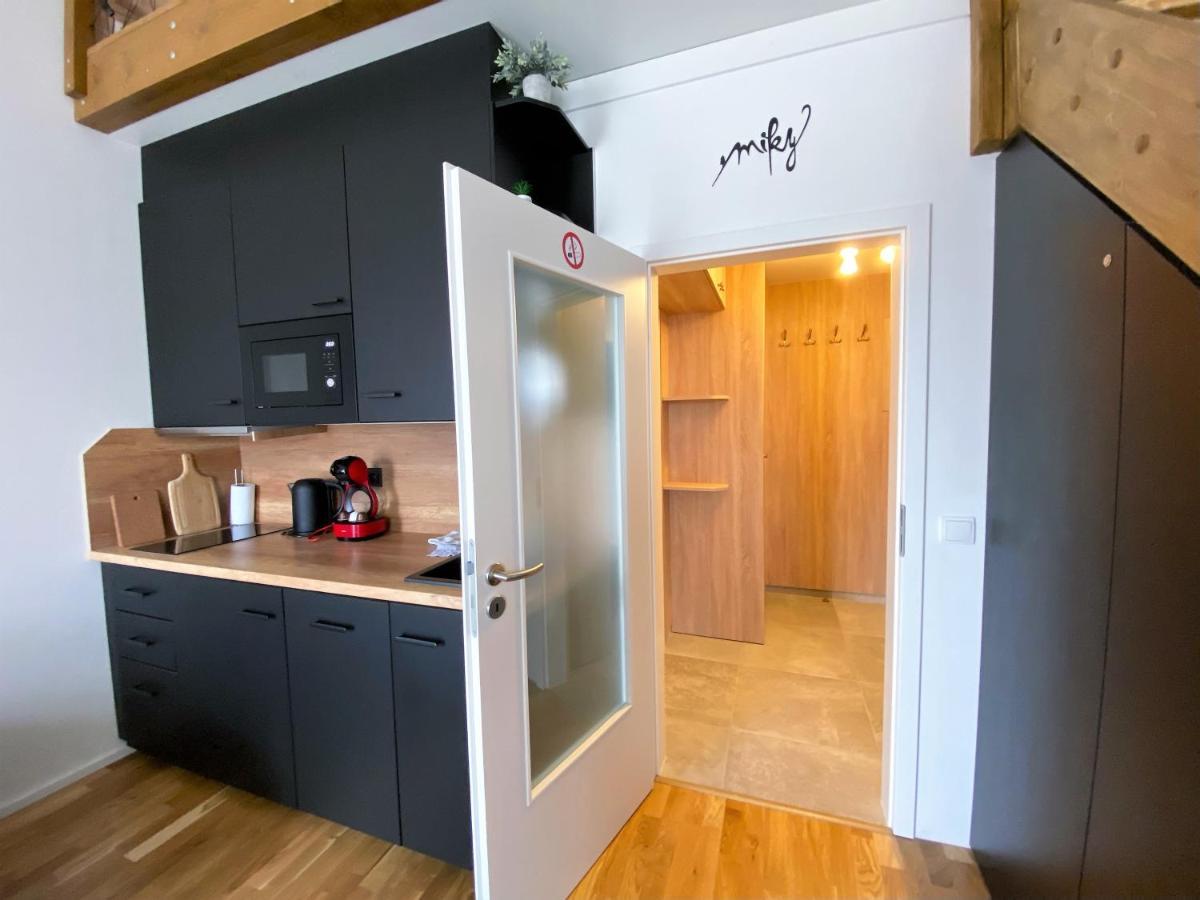 Miky Apartman Klinovec View Loučná pod Klínovcem Екстериор снимка