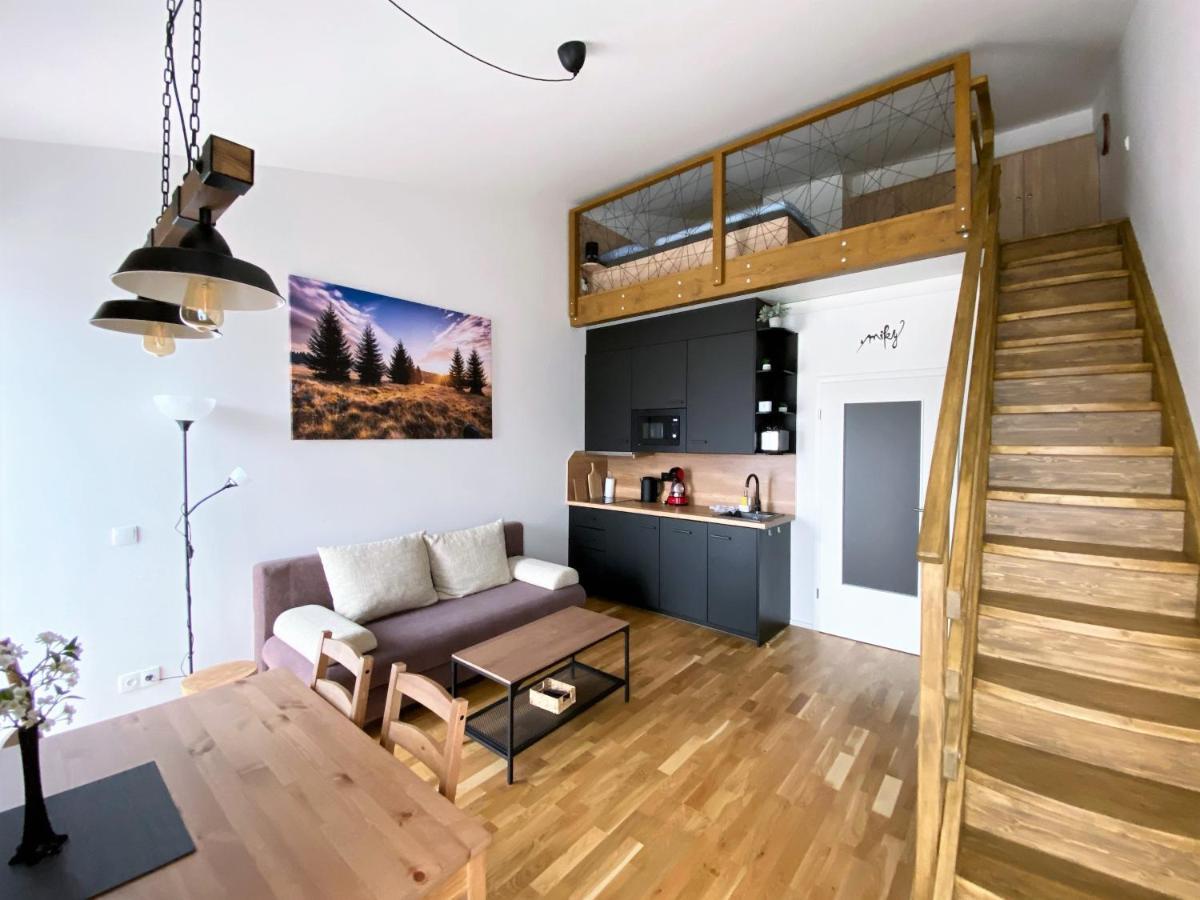 Miky Apartman Klinovec View Loučná pod Klínovcem Екстериор снимка