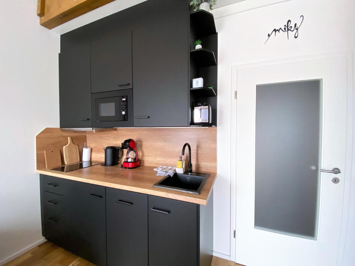 Miky Apartman Klinovec View Loučná pod Klínovcem Екстериор снимка