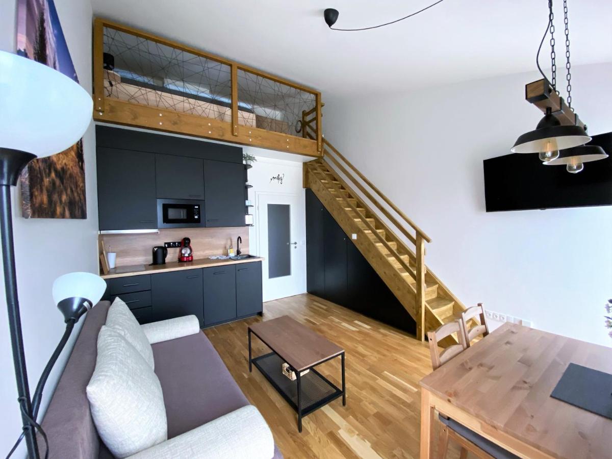 Miky Apartman Klinovec View Loučná pod Klínovcem Екстериор снимка