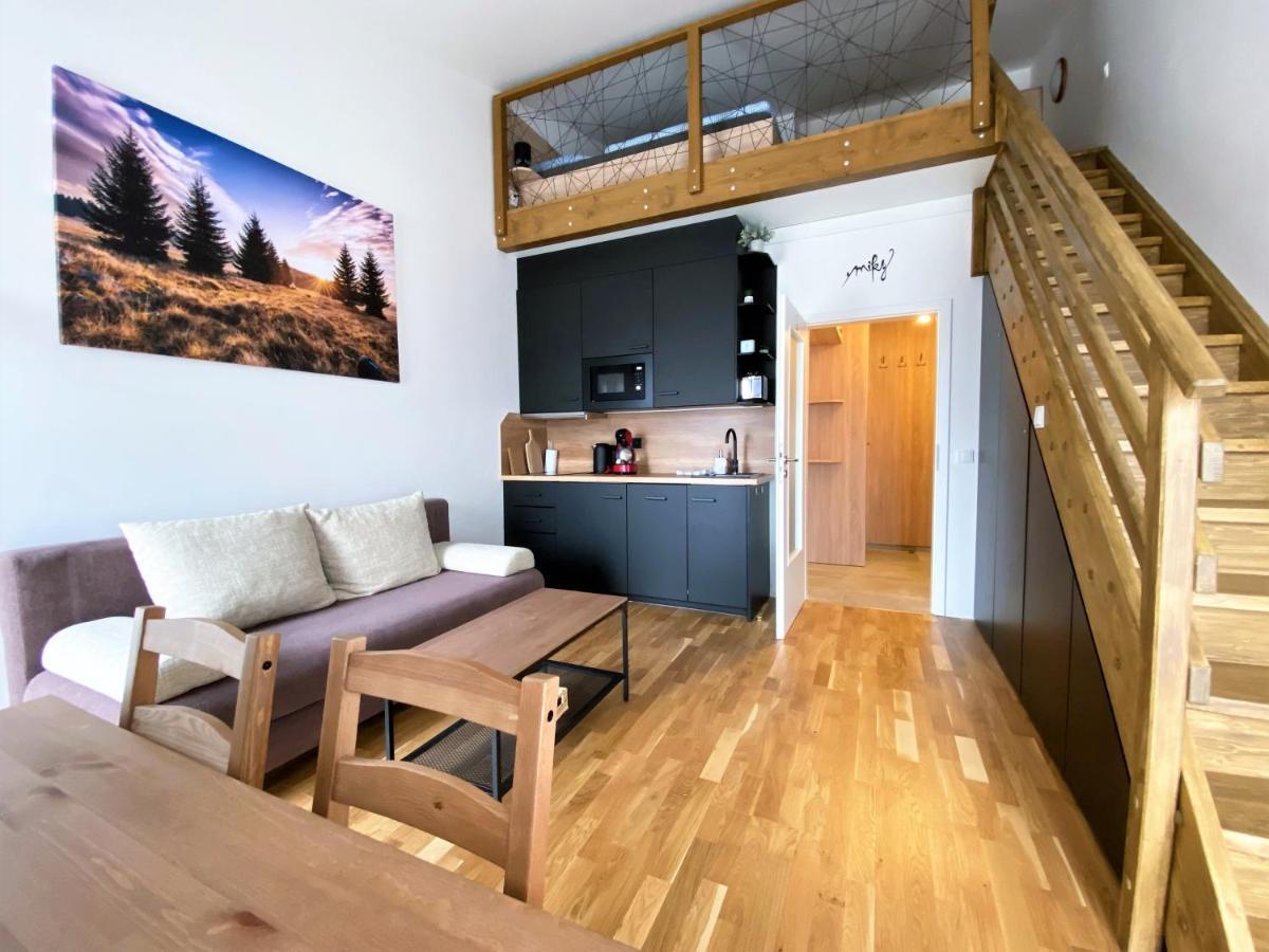 Miky Apartman Klinovec View Loučná pod Klínovcem Екстериор снимка